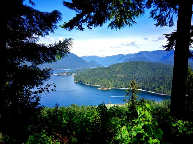 202510_17613442489806.jpg 图2.jpg