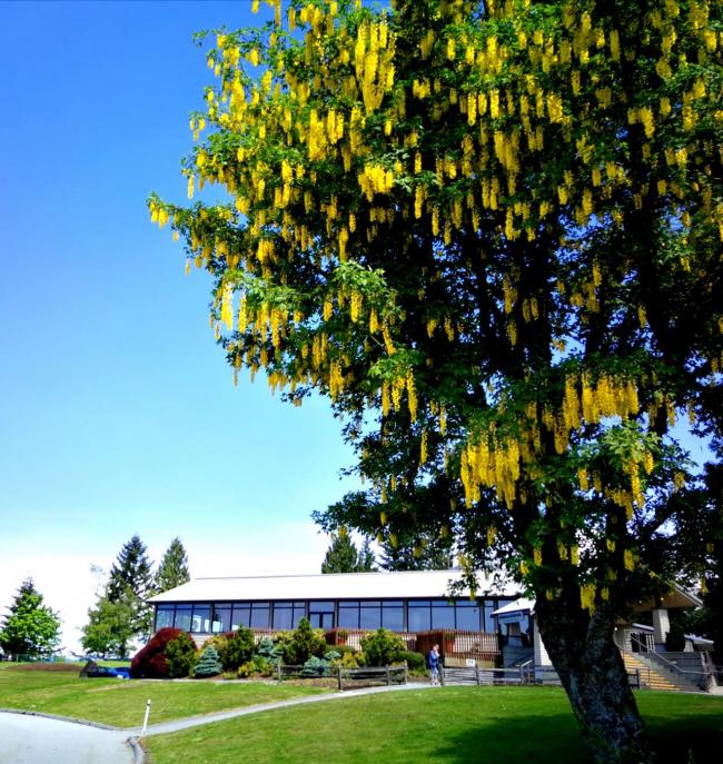 202510_17613442741469.jpg 图3.jpg