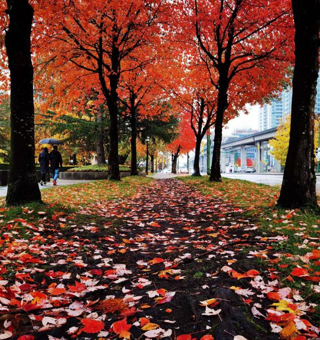 202510_17613443749483.jpg 图7.jpg