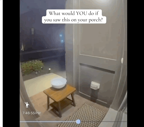 202511_17622956866992.gif 211.gif