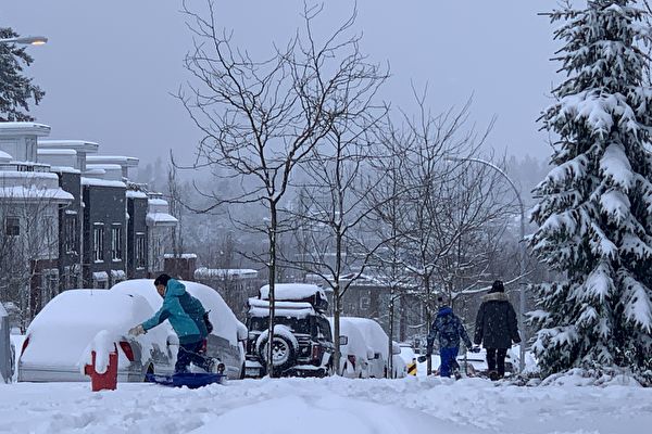 大温变天！BC天气警告生效：20厘米降雪+暴雨！出门千万注意安全