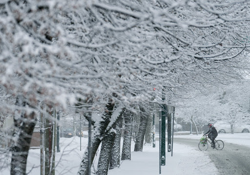 大温变天！BC天气警告生效：20厘米降雪+暴雨！出门千万注意安全