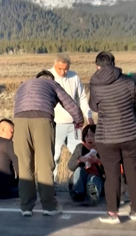 7死8伤! 黄石公园突发重大车祸 6华人游客死亡