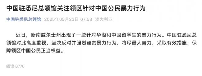 中国留学生及妻遭多名青少年群殴,只因"说中文"