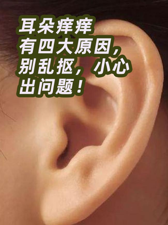 ȴɶҲͲܰʾ4