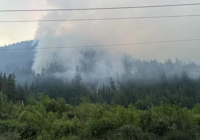 突发：Squamish山火情况恶化 当局发出疏散警报