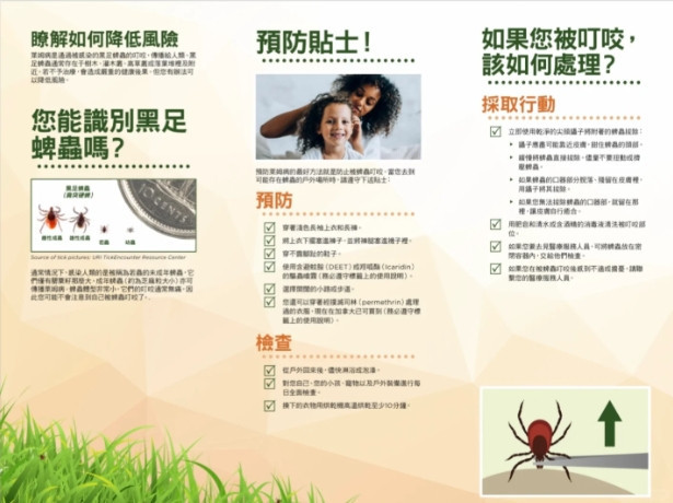 惊魂! 加拿大华人被毒虫叮咬:连夜急诊 账单惊人