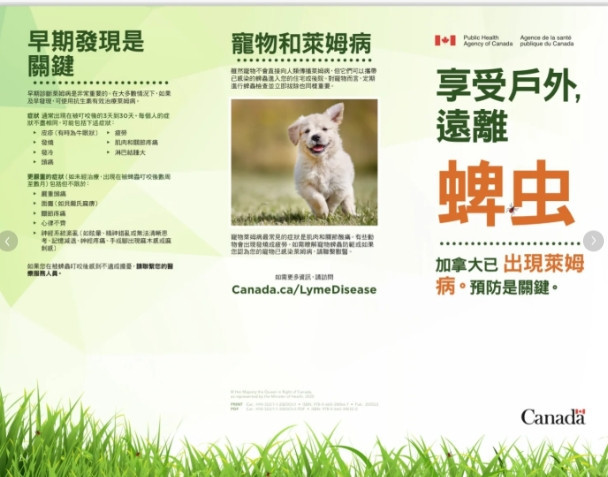 惊魂! 加拿大华人被毒虫叮咬:连夜急诊 账单惊人