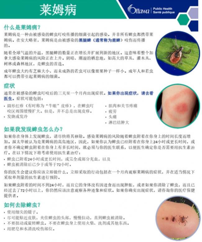 惊魂! 加拿大华人被毒虫叮咬:连夜急诊 账单惊人
