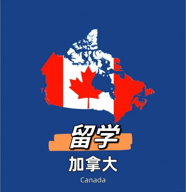 少女留学加拿大半年后崩溃：暴食催吐 昼夜颠倒