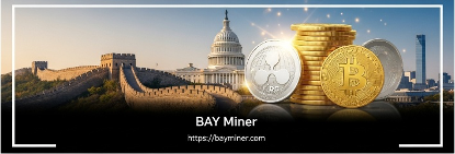 GENIUSͨ˰XRPתBAY
