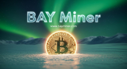 XRPͶתڿBAYÿ׬ȡ8,777Ԫ