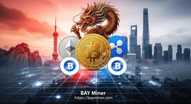 BAY MinerBTC/ETHXRPû׬9999