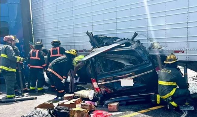 离谱! 超280万人请愿宽大处理致3死的印度司机