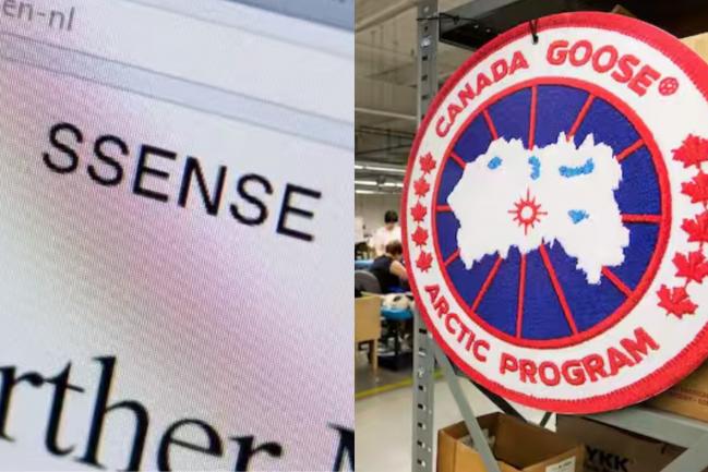 敢信? 加拿大电商巨头SSENSE进入破产保护! 国宝“大鹅”也要被中国老板收了…