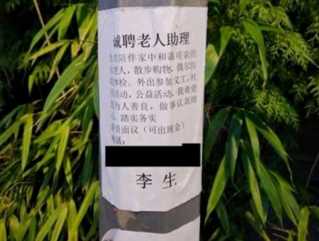 大温电线杆被贴满中文"牛皮癣"广告 网友爆猛料