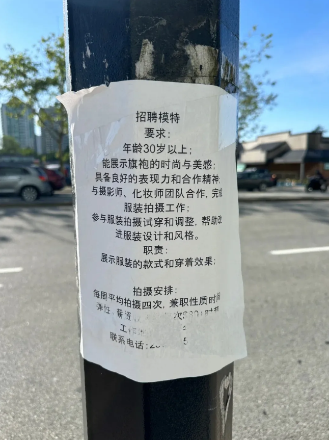 大温电线杆被贴满中文"牛皮癣"广告 网友爆猛料