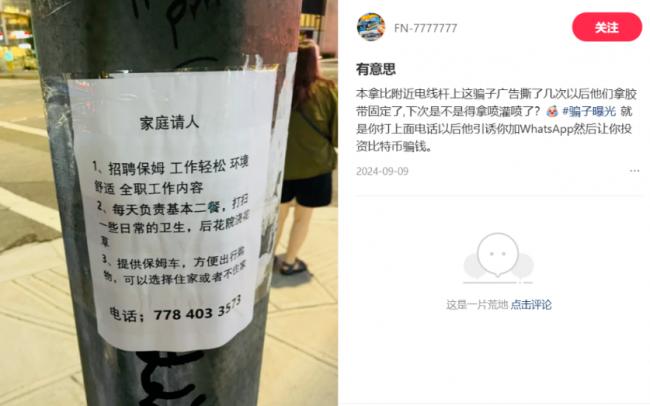 大温电线杆被贴满中文"牛皮癣"广告 网友爆猛料