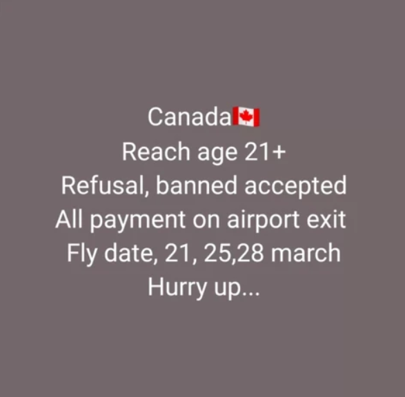 印度人公开兜售加拿大国门:签证万+偷渡00