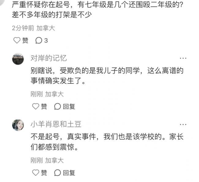 家长怒了: 绝不沉默! 加拿大华人7岁娃在名校遭高年级同学群殴! 脸朝下倒地…