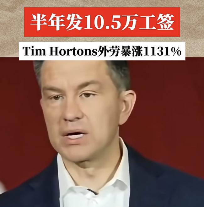 半年发10.5万工签，Tim Hortons外劳暴涨1131%