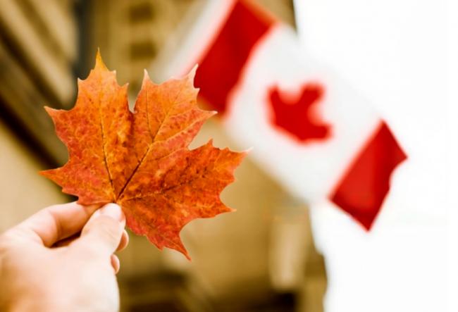 加拿大移民共识彻底崩塌! 一半人支持大规模驱逐 加拿大移民共识彻底崩塌! 一半人支持大规模驱逐