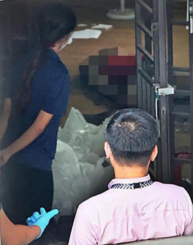 惊爆双尸案! 剑桥毕业中国美女学霸, 在海外疑被活活饿死! 年迈老父也化作白骨