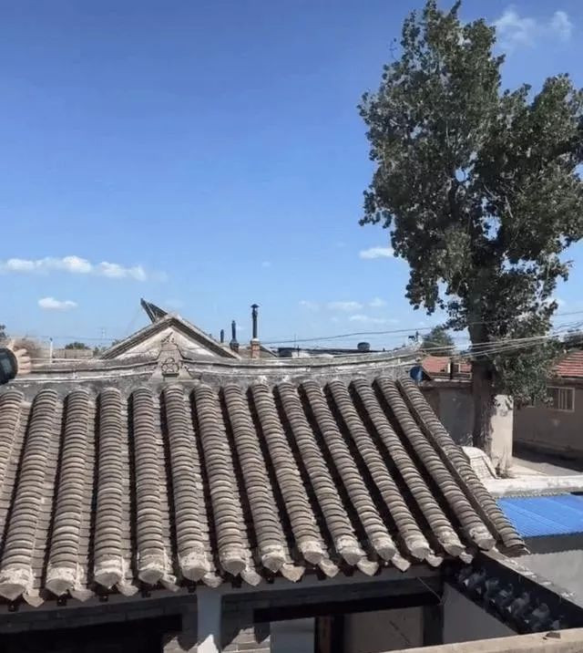 于震：回山东老家定居 青砖瓦房四合院引热议
