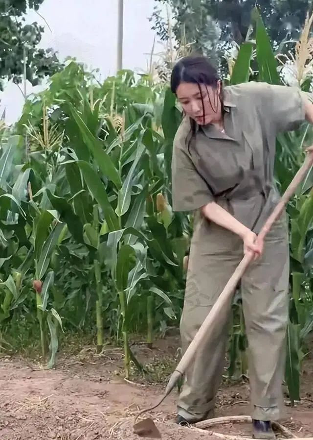 她靠美貌征服无数男人 48岁回老家种地素颜出镜