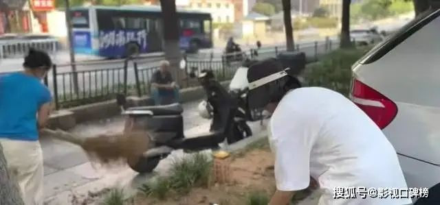 袁立扫大街累到低血糖 罕见露面瘦了一大圈