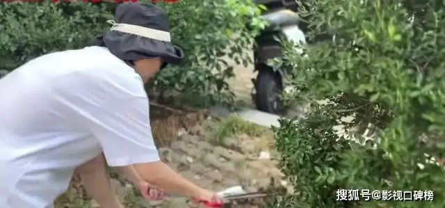 袁立扫大街累到低血糖 罕见露面瘦了一大圈