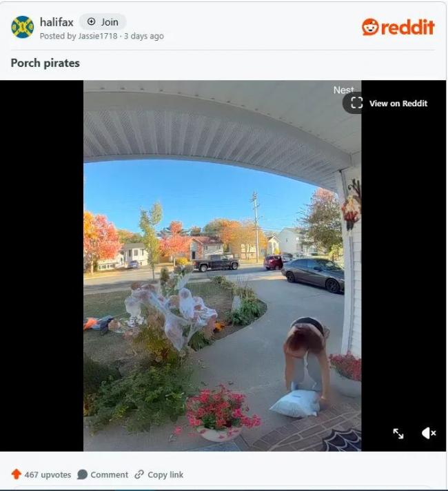 穿着暴露的女子加拿大前院飞快偷走包裹 据称不是第一次