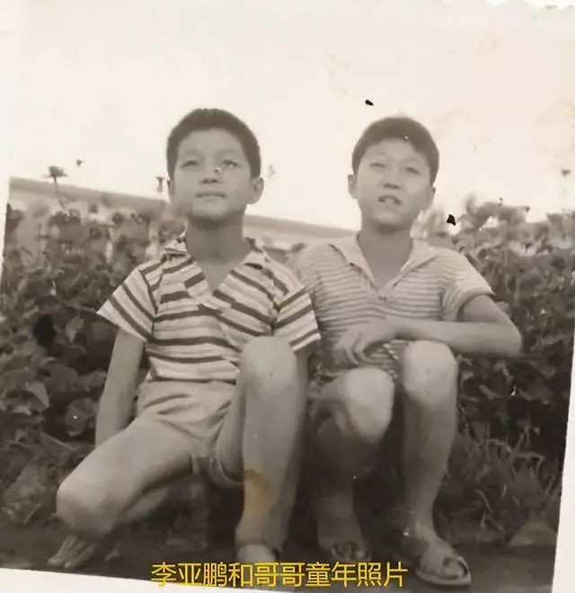 李亚鹏父亲离世母亲已81岁 哥哥因钱反目