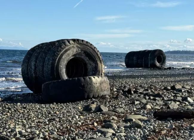 每个4吨! 温哥华岛海滩惊现11个“恐龙级”轮胎 每个4吨! 温哥华岛海滩惊现11个“恐龙级”轮胎