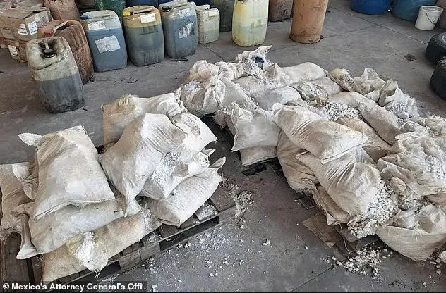 盯了他三年！华人“王哥”被引渡回美