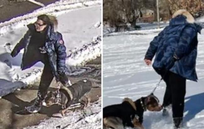 女子纵犬咬伤男童逃之夭夭 面临3年监禁当庭流泪 女子纵犬咬伤男童逃之夭夭 面临3年监禁当庭流泪