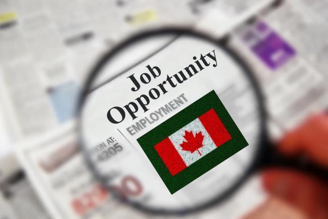 50岁登陆加拿大找工作，不需要找熟人、拉关系顺利上岸