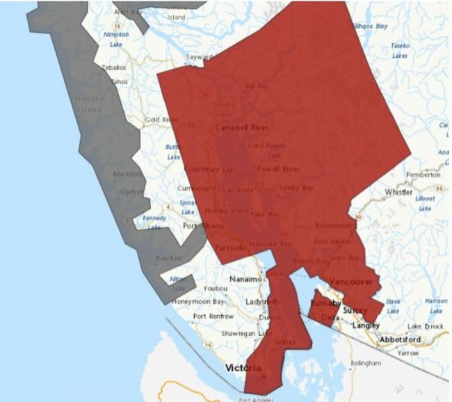 ���±���ǿ�羯�� ����ͨ���鷳��