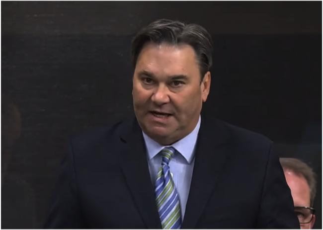 卡尼无忧!NDP称将在首轮预算信任投票支持政府 卡尼无忧!NDP称将在首轮预算信任投票支持政府