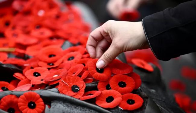 11月11日加拿大国殇纪念日 全国悼念为国捐躯者 11月11日加拿大国殇纪念日 全国悼念为国捐躯者