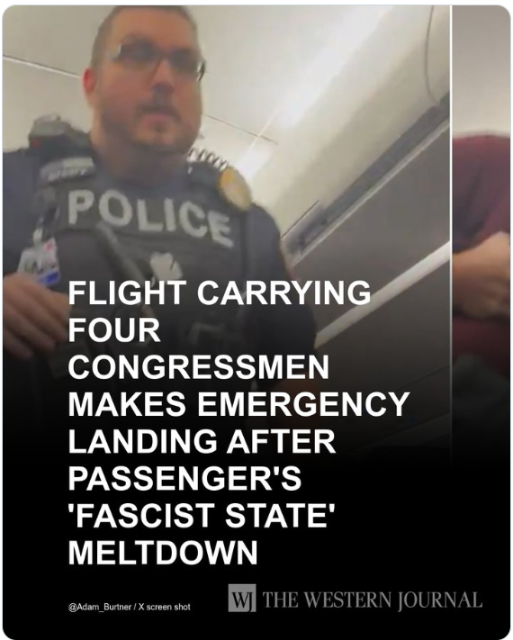 她在航班上喊:我们生活在法西斯国家 下场曝光 她在航班上喊:我们生活在法西斯国家 下场曝光