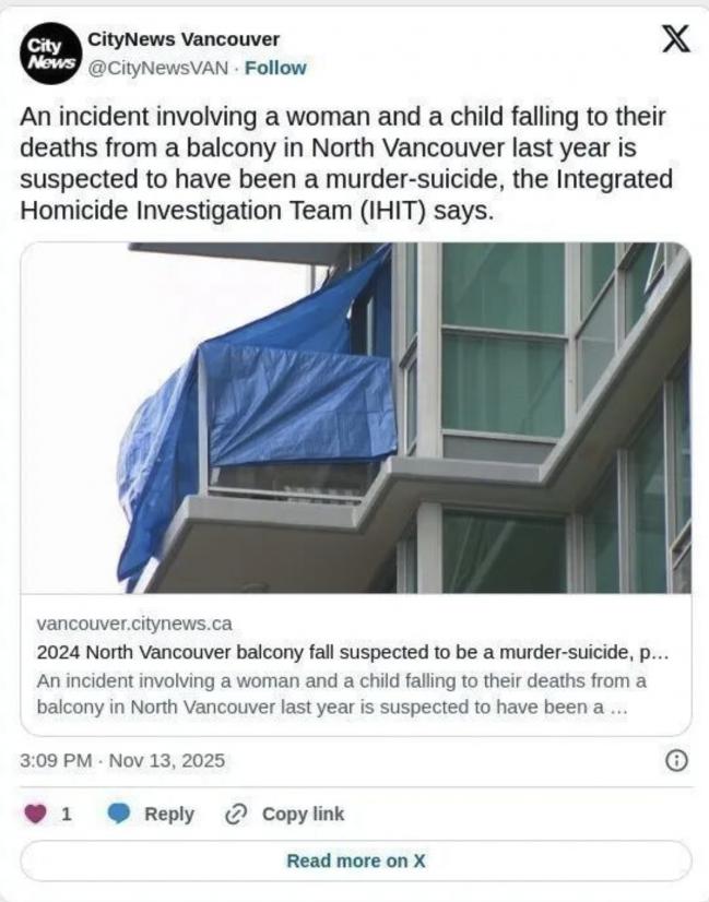 破案了！大温母女阳台坠亡并不是意外