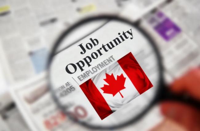 "血腥屠杀"! AI横扫温哥华科技圈: 大批人失业 "血腥屠杀"! AI横扫温哥华科技圈: 大批人失业