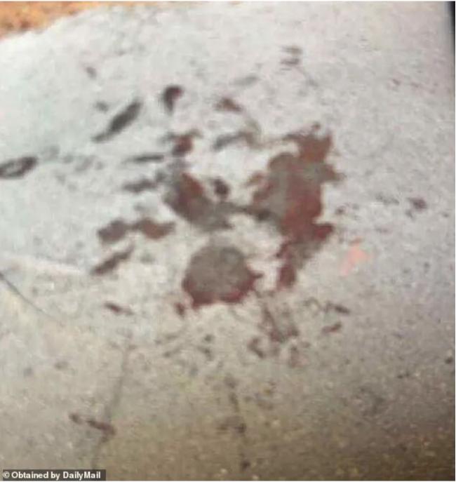 飙车少年撞死男孩后竟炫血照 仍未被控罪 飙车少年撞死男孩后竟炫血照 仍未被控罪