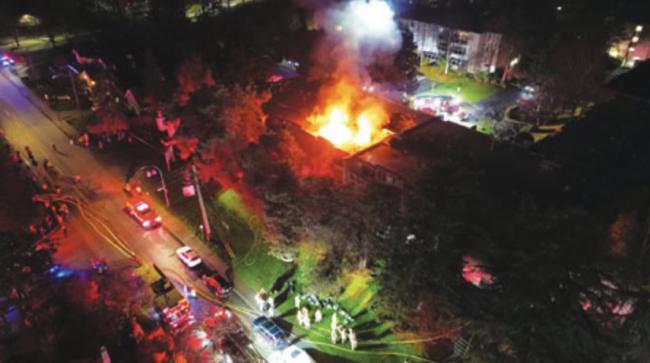 �����Ĺ�Ԣ��� ����Ա�㳲���� ����Ծ������