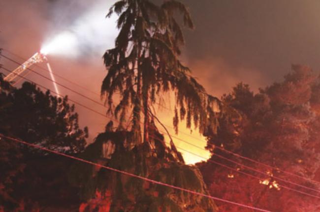 �����Ĺ�Ԣ��� ����Ա�㳲���� ����Ծ������