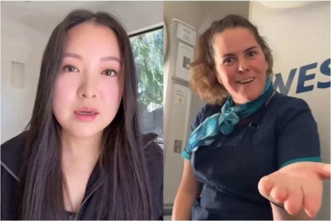 怒了! 知名亚裔演员起诉西捷航空:4小时飞行噩梦