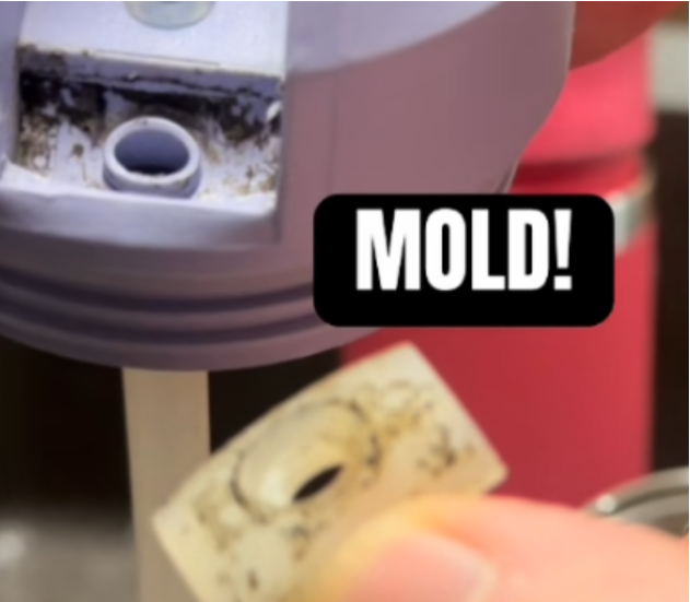 孩子水瓶里加拿大父亲发现骇人物品 急发警告 孩子水瓶里加拿大父亲发现骇人物品 急发警告