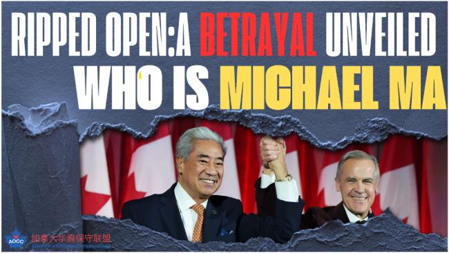 20251212_17655811432893.png image.png