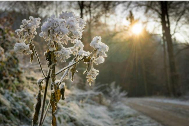 卑诗小镇零下42.8度 刷新史上当天最低温纪录 卑诗小镇零下42.8度 刷新史上当天最低温纪录
